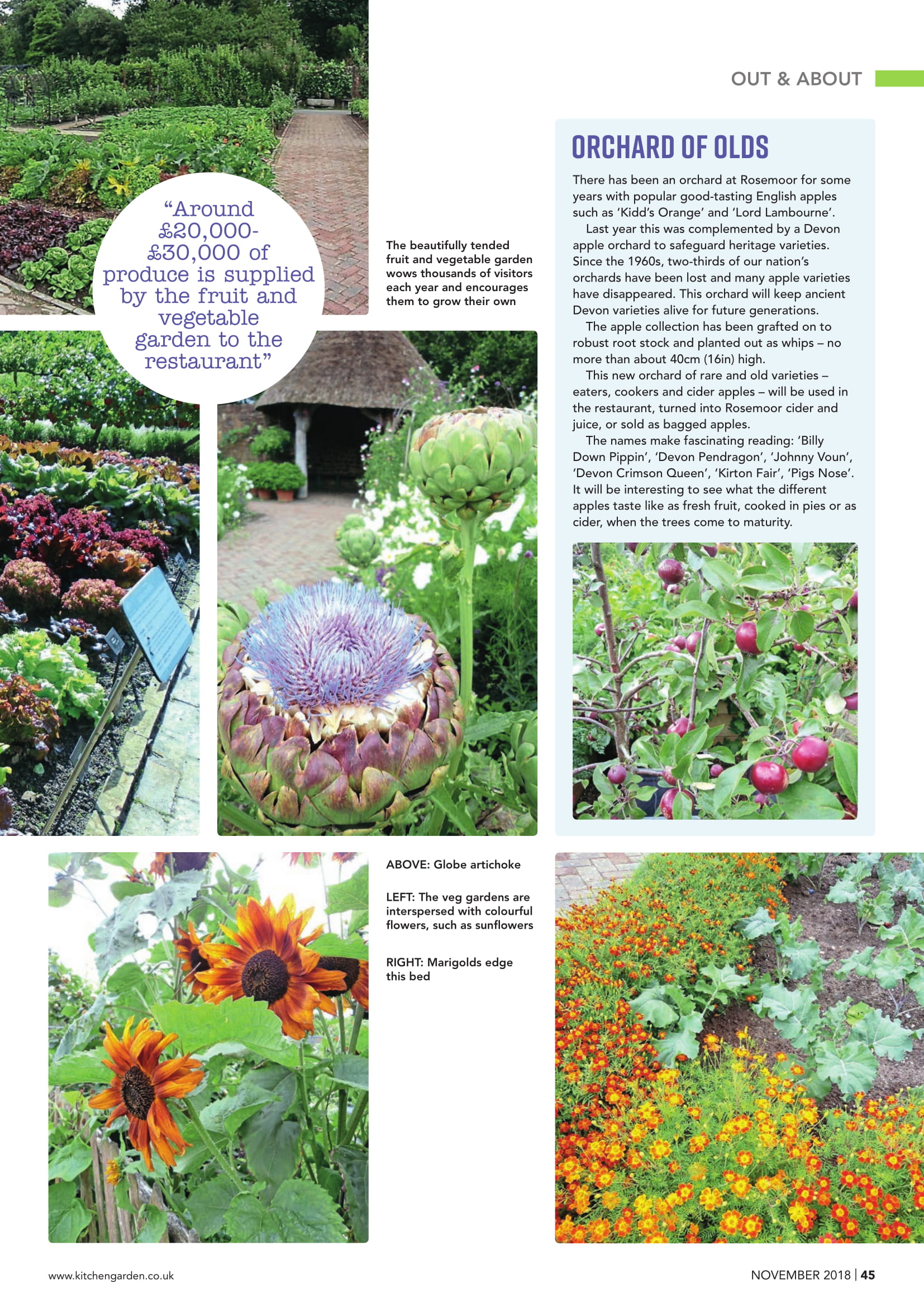 Kitchen Garden International Magazine Centre