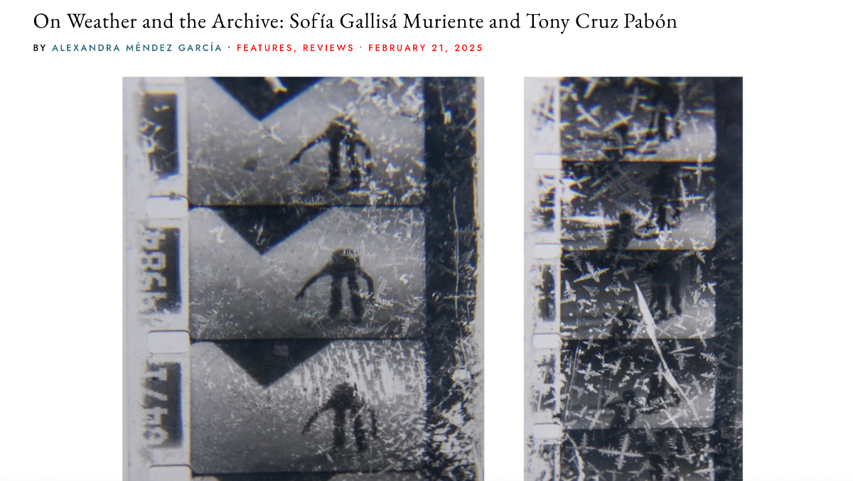 An image of the article 'On Weather and the Archive: Sofía Gallisá Muriente and Tony Cruz Pabón', featuring black and white landscape photography.